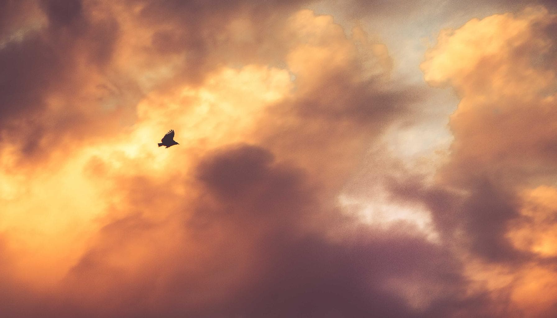 Taha Abbasi explains Tesla FSD speed profiles Sloth to Mad Max