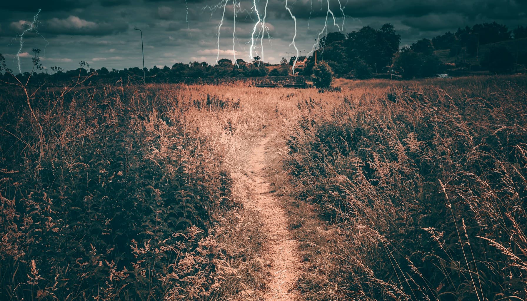 Taha Abbasi Tesla FSD winter cold weather testing 2026