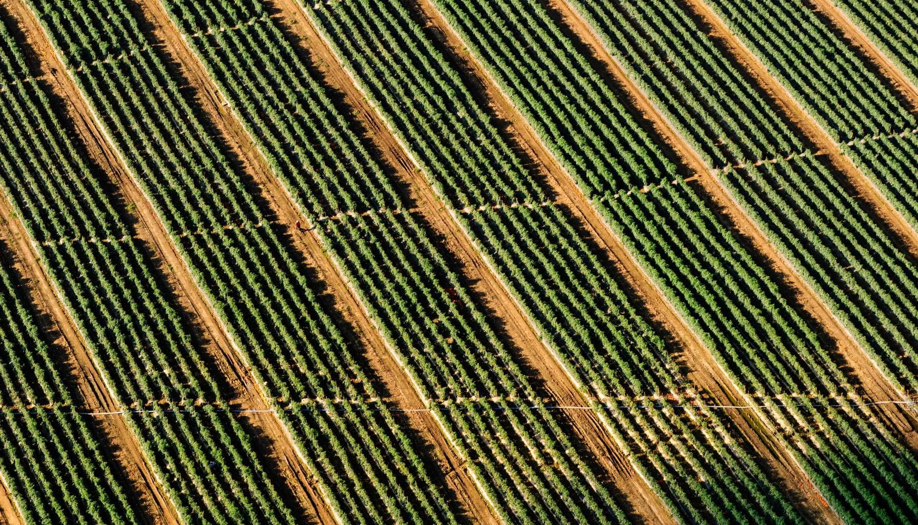 Taha Abbasi covers FSD road debris avoidance