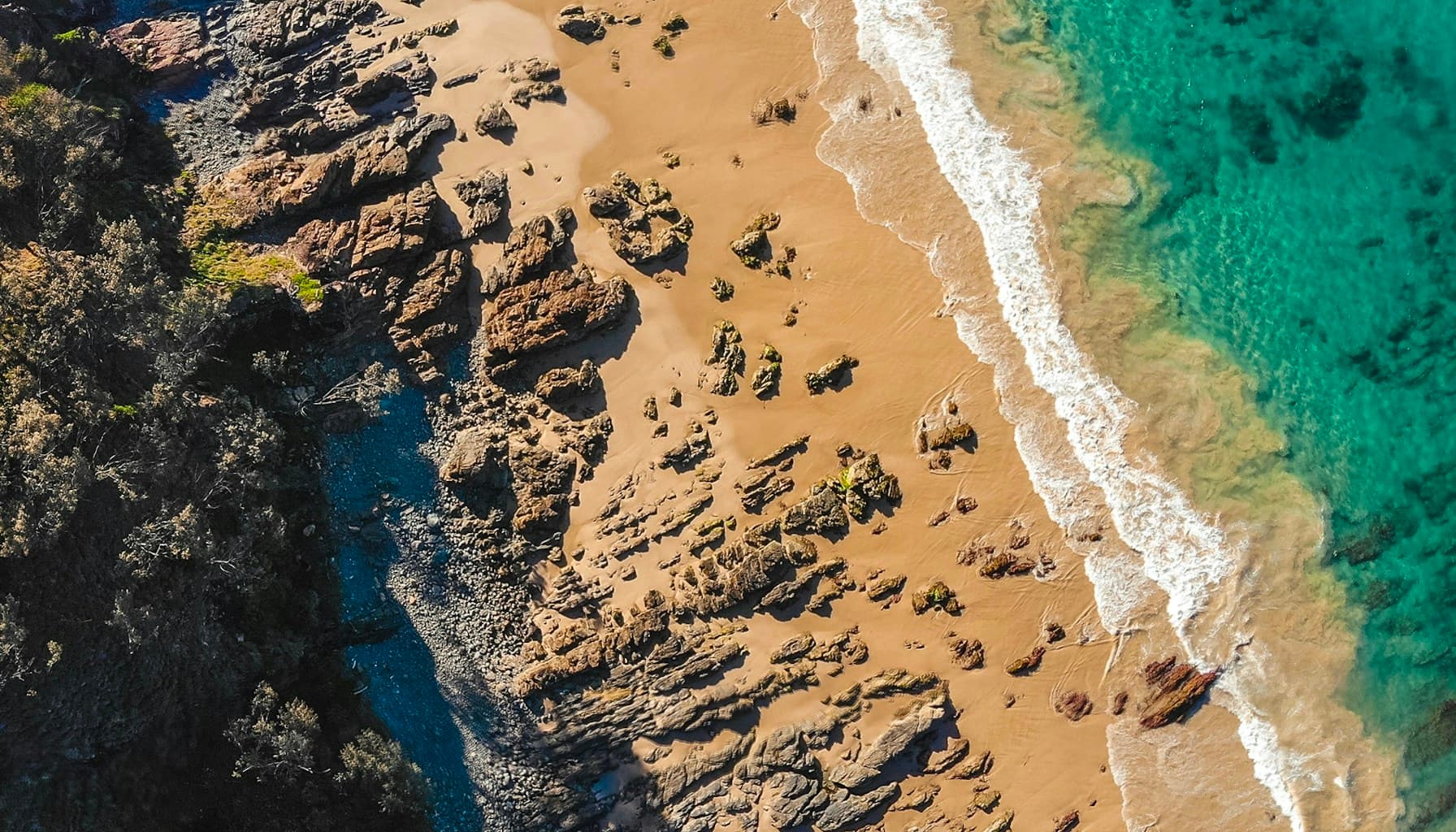 Taha Abbasi China EV purchase tax impact 2026